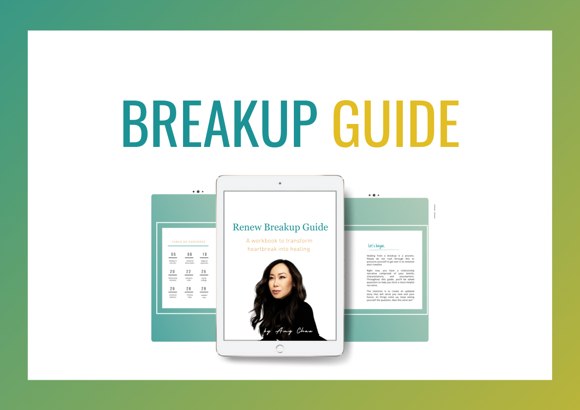 Breakup Guide cover featuring Amy Chan