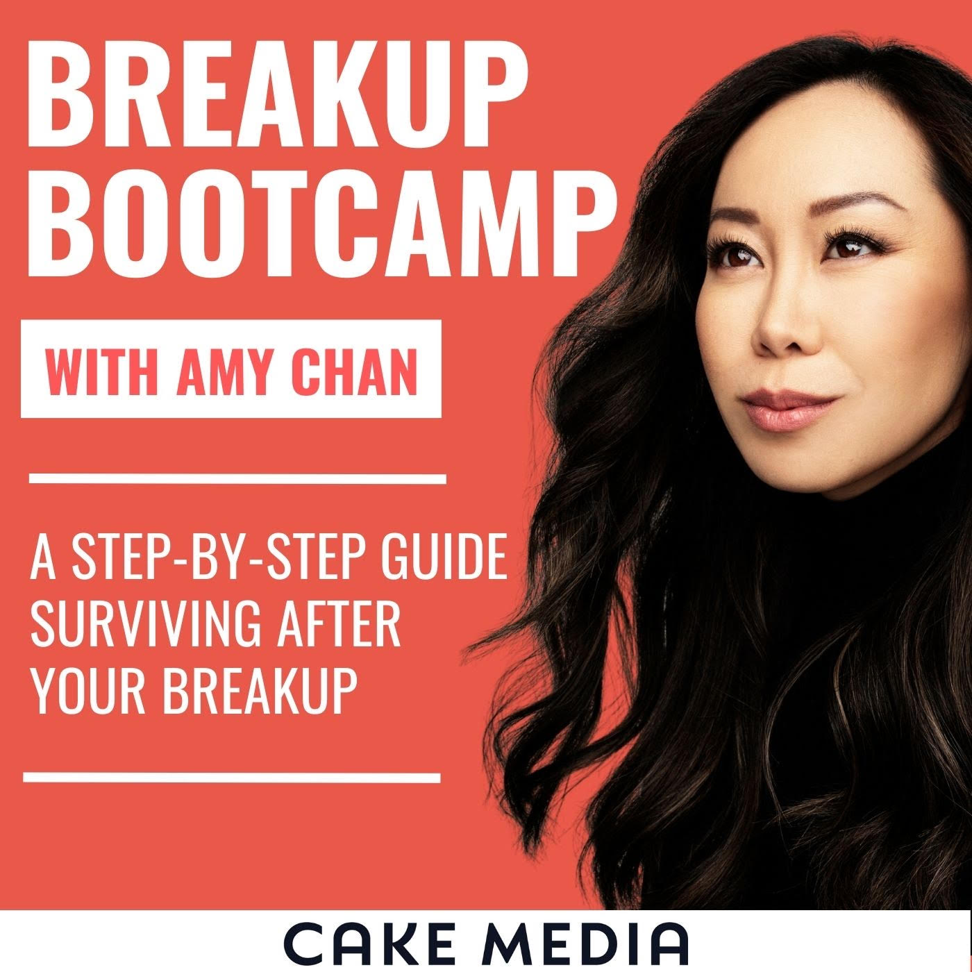 Breakup Bootcamp By Amy Chan